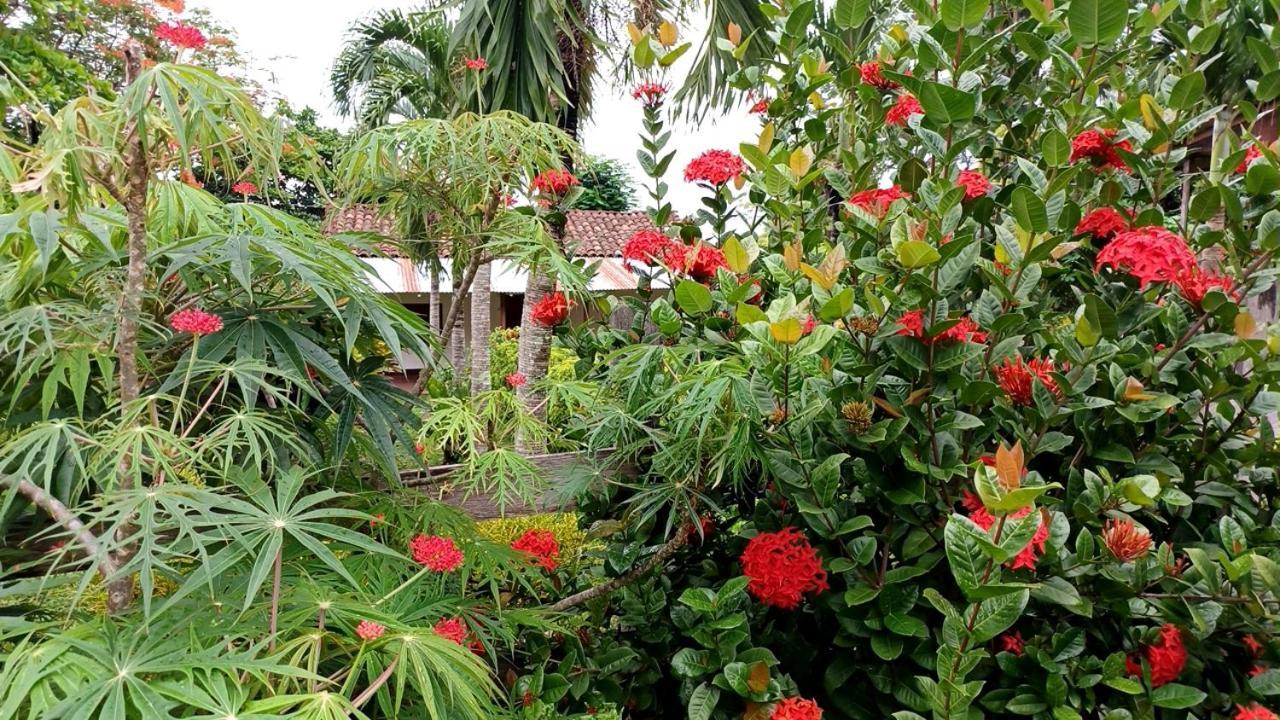 Finca Magdalena Eco Lodge Balgue Exterior foto