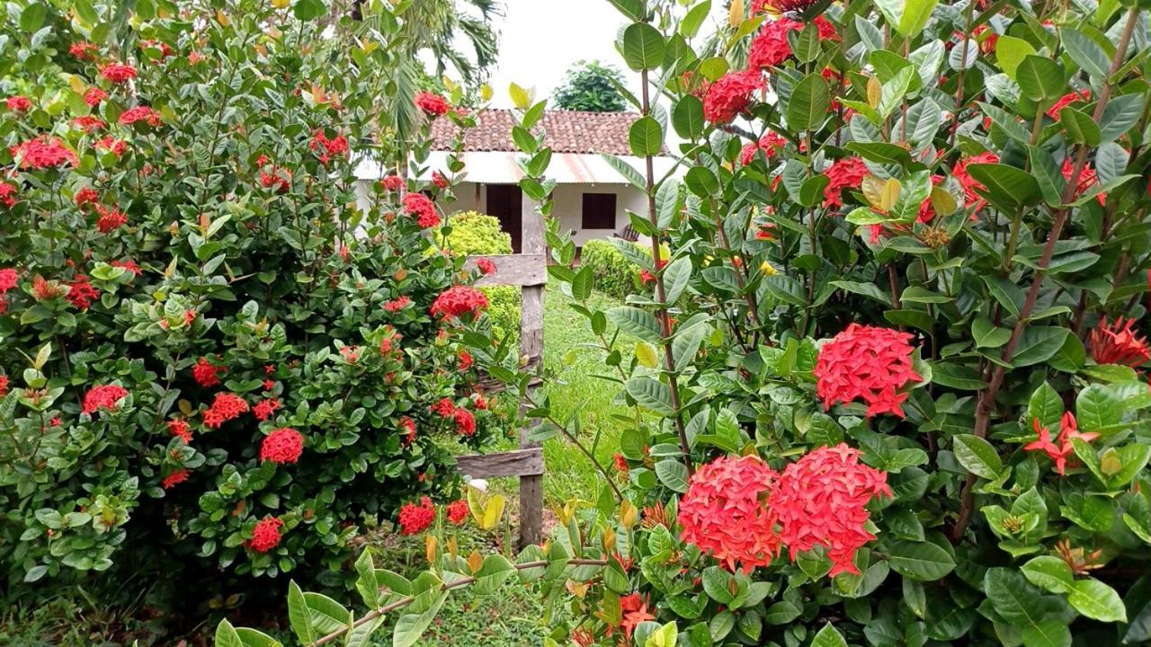 Finca Magdalena Eco Lodge Balgue Exterior foto