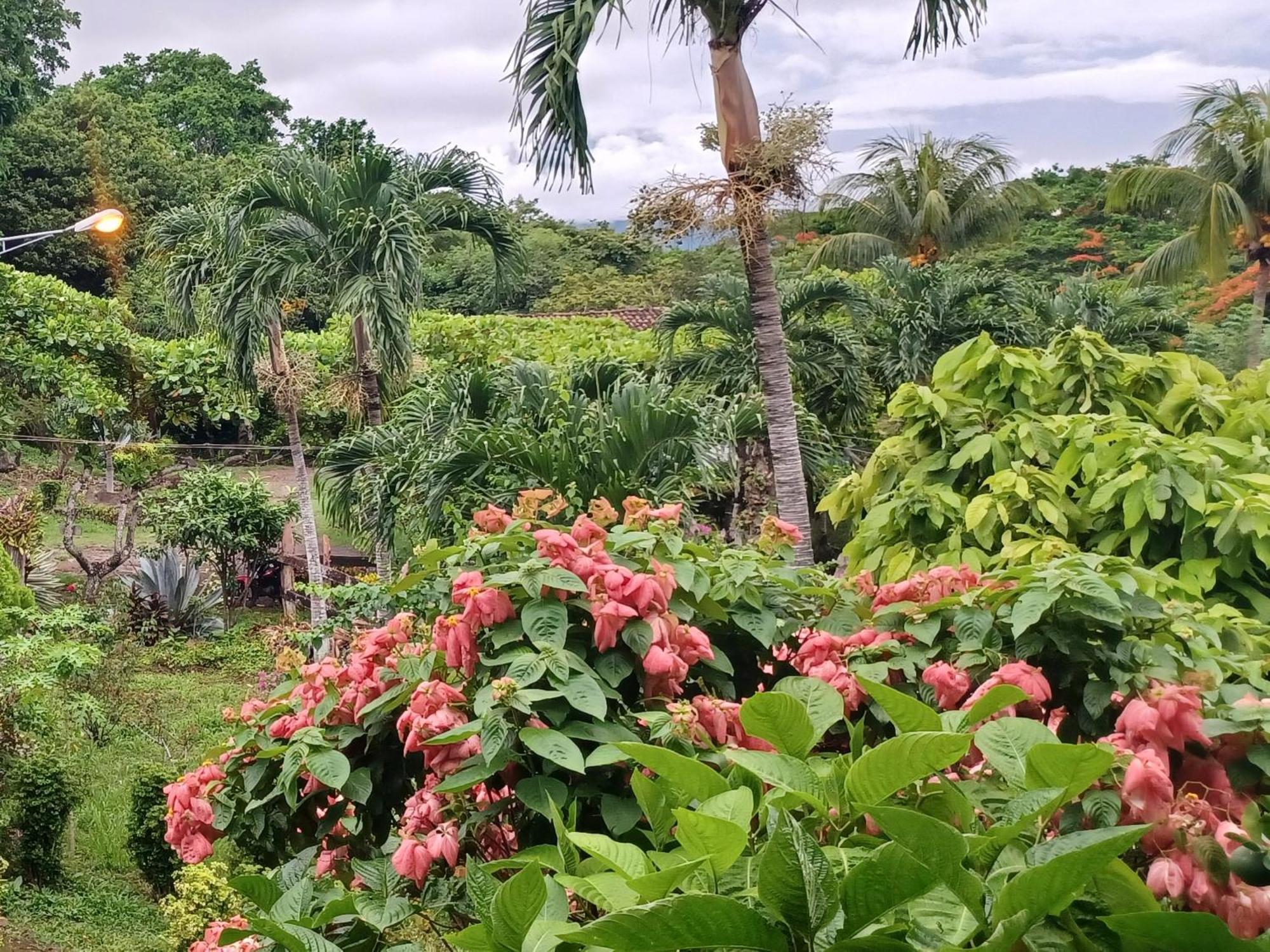 Finca Magdalena Eco Lodge Balgue Cameră foto